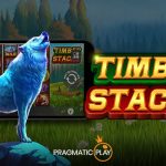 Wildz Partners with Stakelogic Live to Improve the Players Experience
